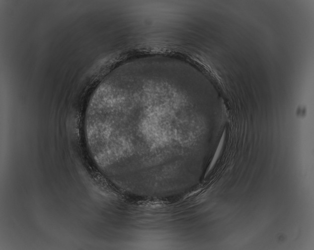 X0000090950643200708241129