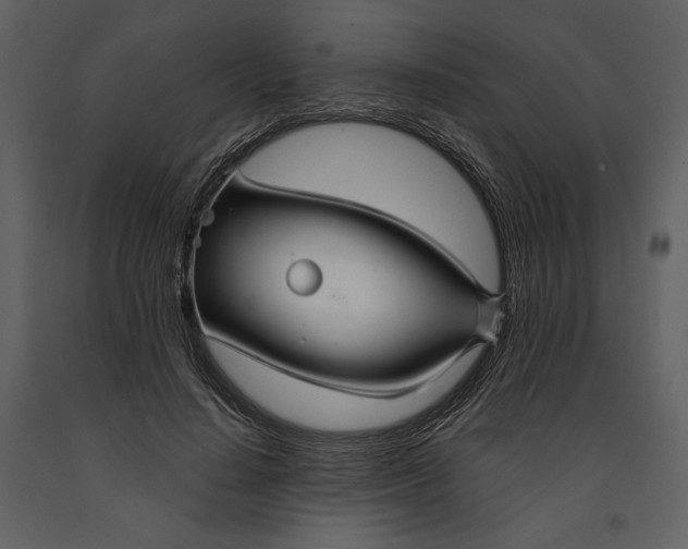 X0000090950644200708241129