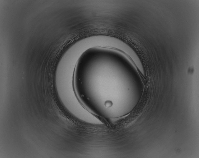X0000090950646200708241129