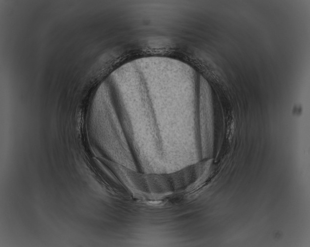 X0000090950647200708241129