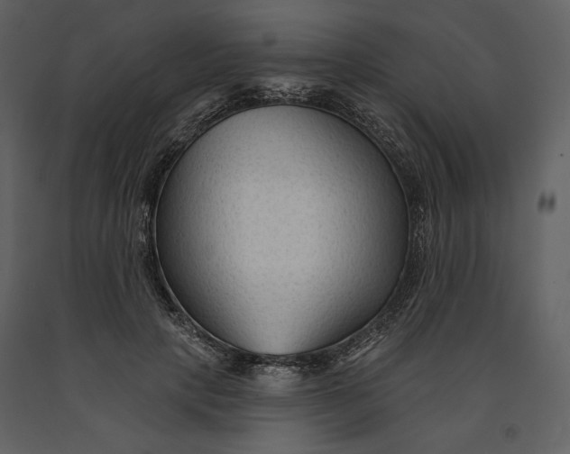X0000090950649200708241129