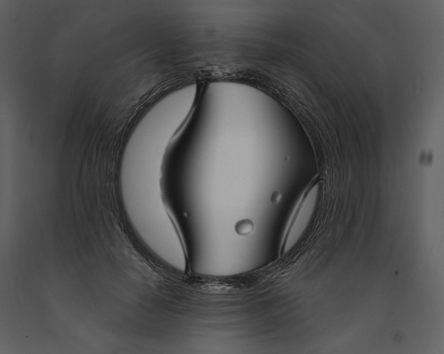 X0000090950650200708241129
