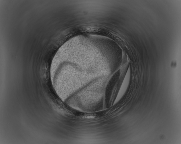 X0000090950651200708241129