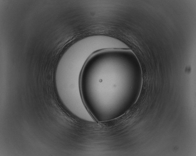 X0000090950652200708241129