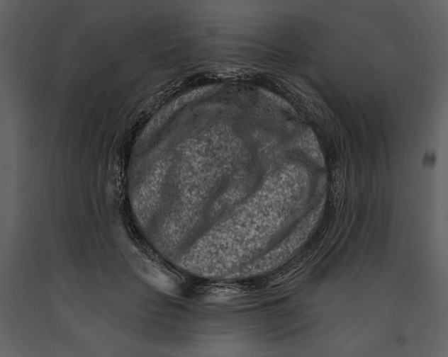 X0000090950653200708241129