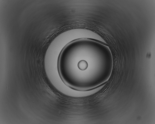 X0000090950654200708241129