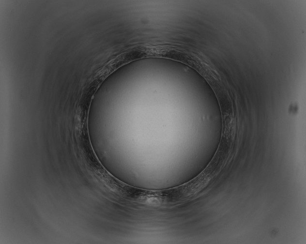 X0000090950655200708241129