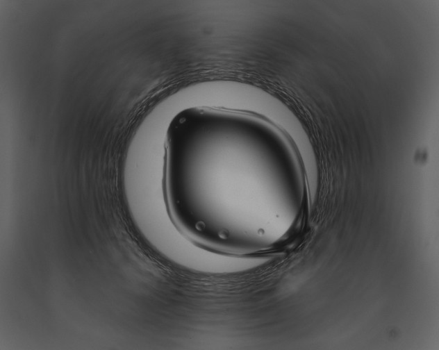 X0000090950656200708241129
