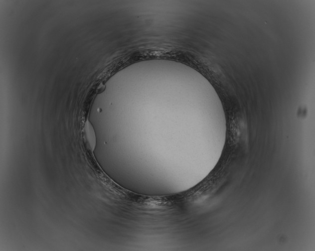 X0000090950657200708241130
