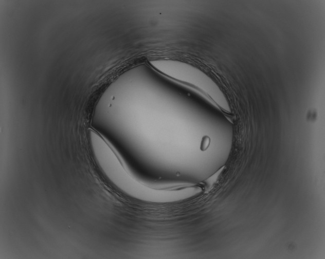 X0000090950658200708241130