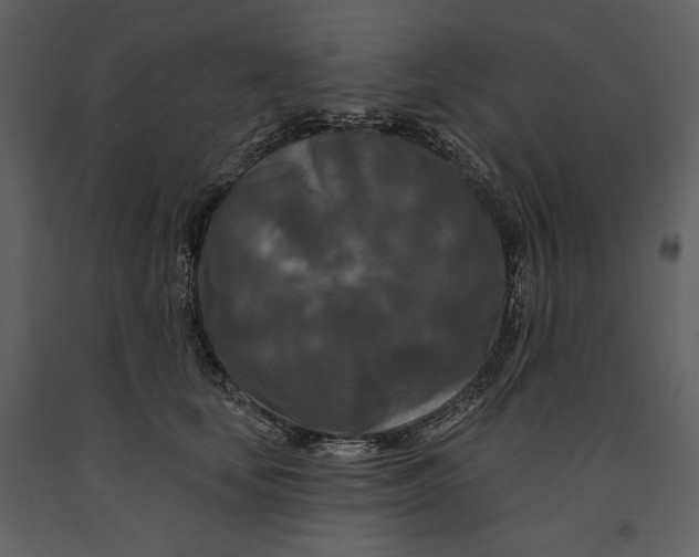 X0000090950659200708241130