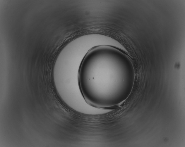 X0000090950660200708241130