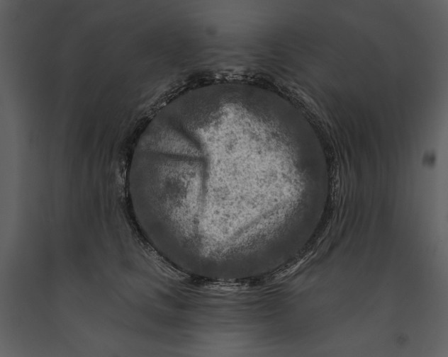 X0000090950661200708241130