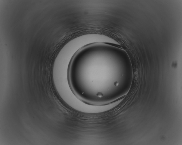 X0000090950662200708241130
