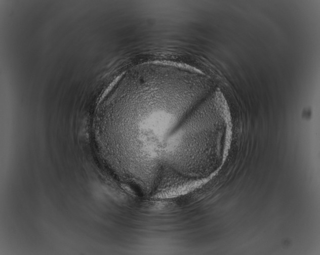 X0000090950663200708241130
