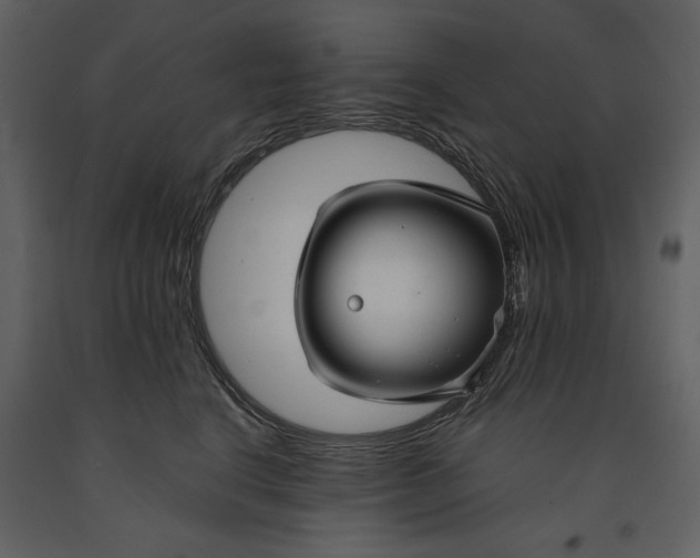 X0000090950664200708241130
