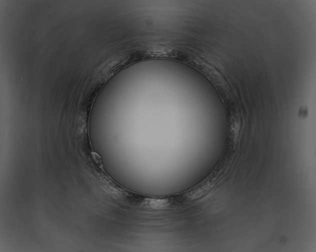 X0000090950665200708241130