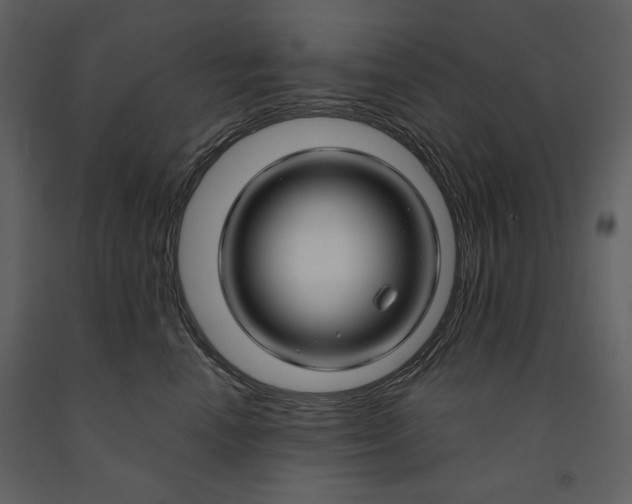 X0000090950666200708241130