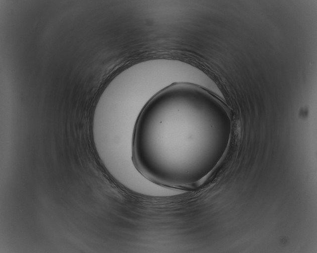 X0000090950668200708241130