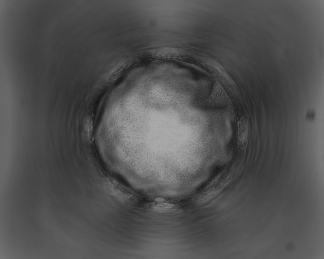 X0000090950669200708241130