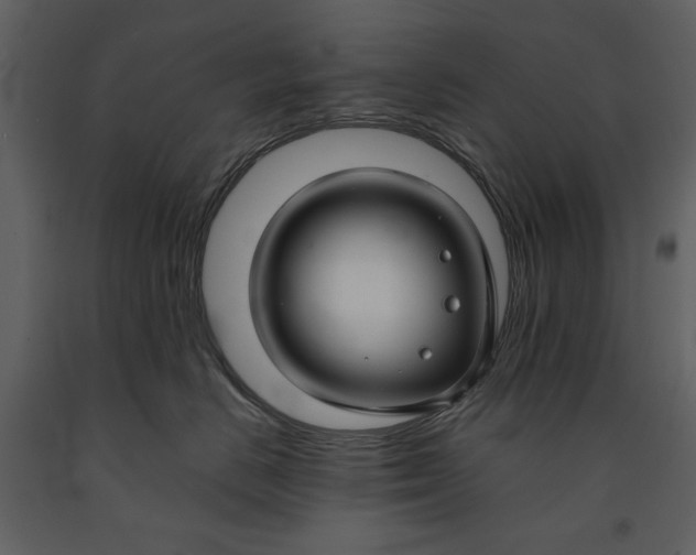 X0000090950670200708241130