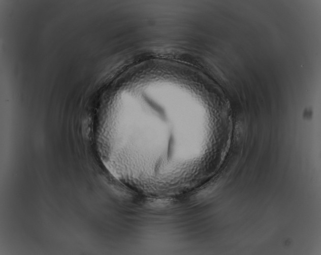 X0000090950671200708241130