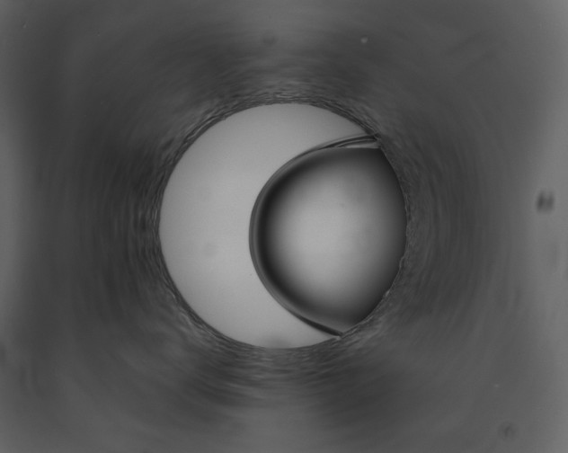 X0000090950672200708241130