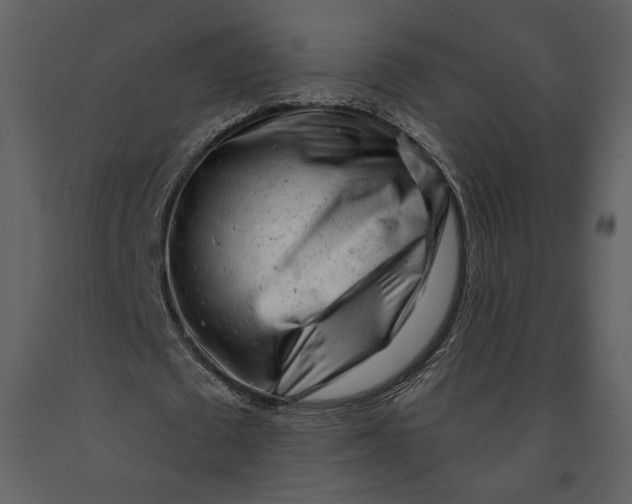 X0000090950673200708241129