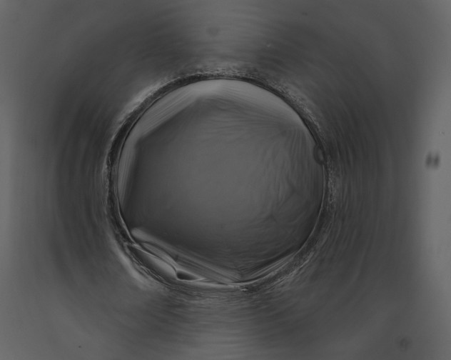 X0000090950674200708241129