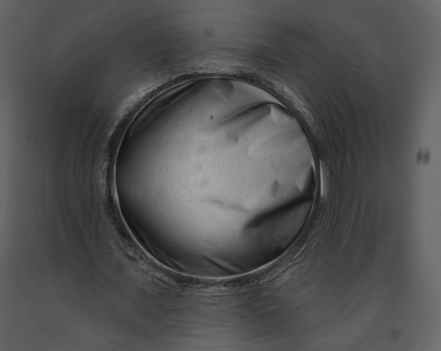 X0000090950675200708241129