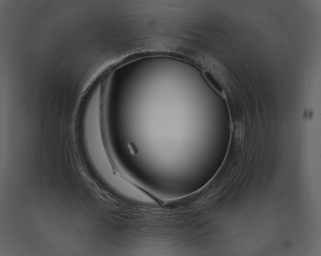 X0000090950676200708241129
