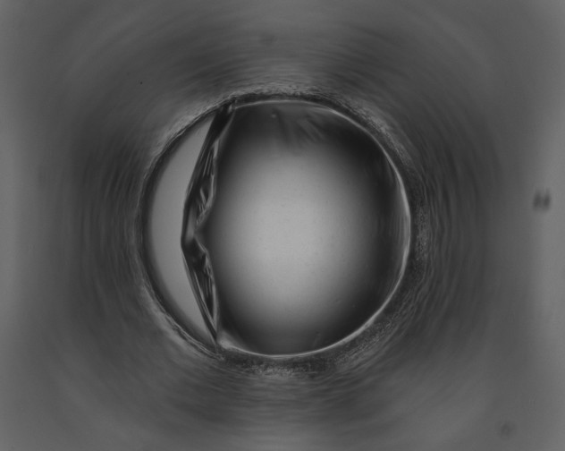 X0000090950677200708241129