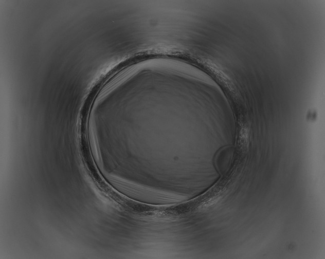 X0000090950678200708241129