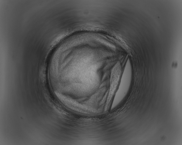 X0000090950679200708241129