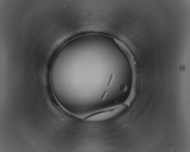 X0000090950680200708241129