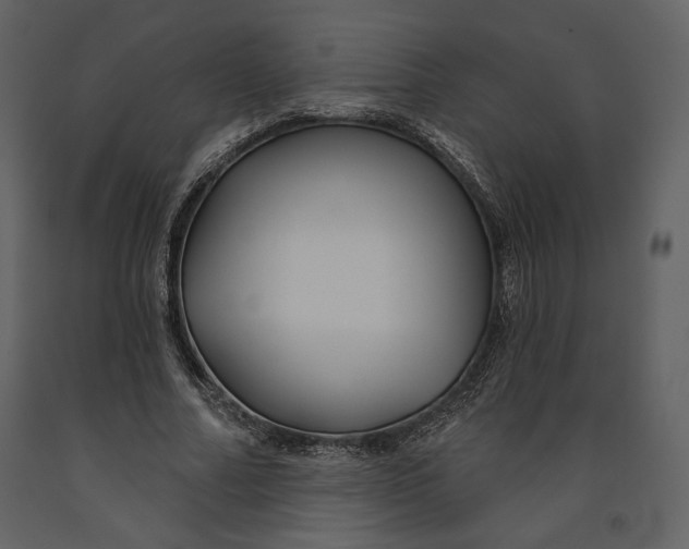 X0000090950682200708241129