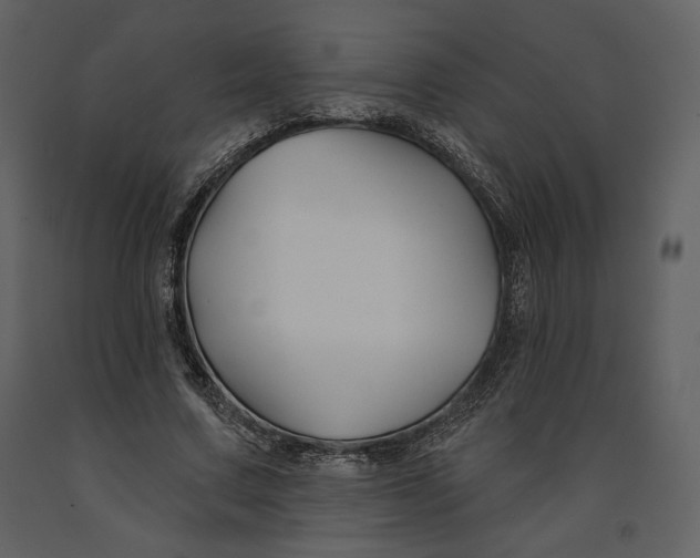 X0000090950683200708241129