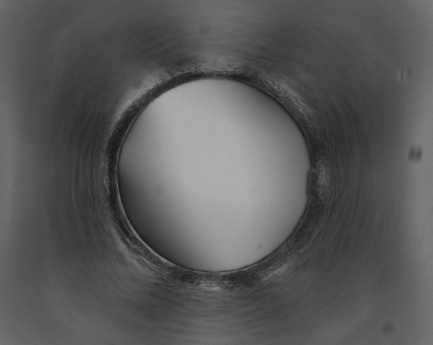 X0000090950684200708241129