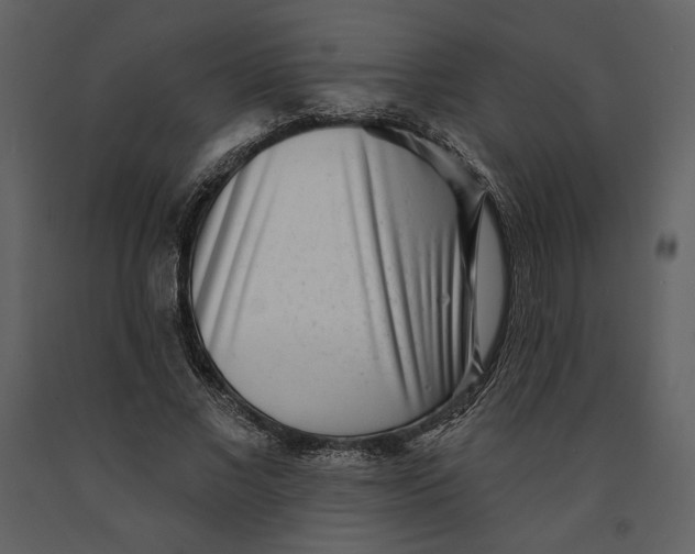 X0000090950685200708241129