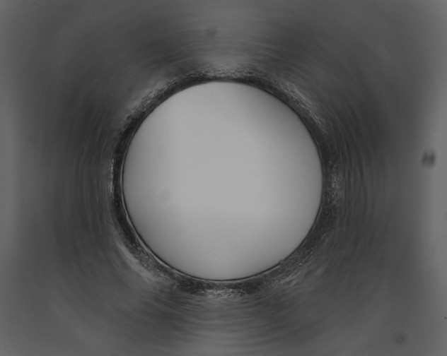 X0000090950686200708241129