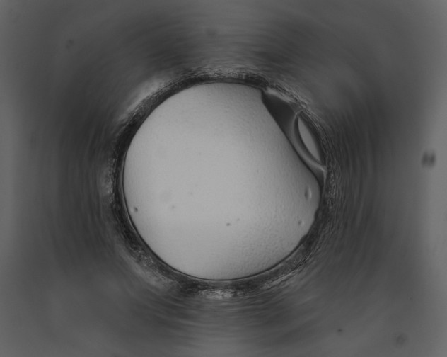 X0000090950687200708241129