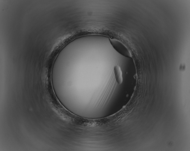 X0000090950688200708241129
