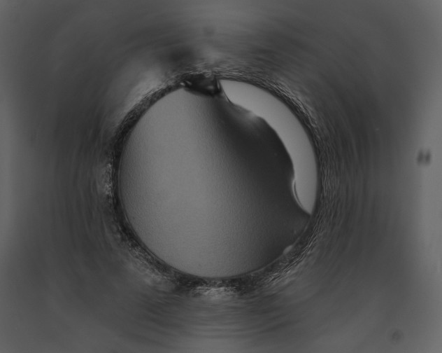 X0000090950689200708241129