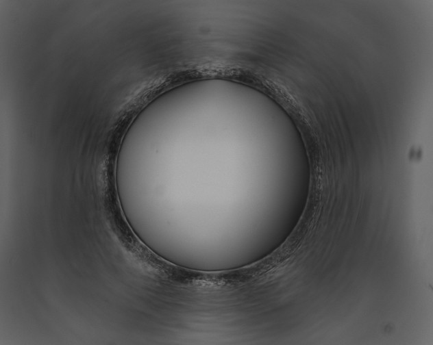 X0000090950690200708241129