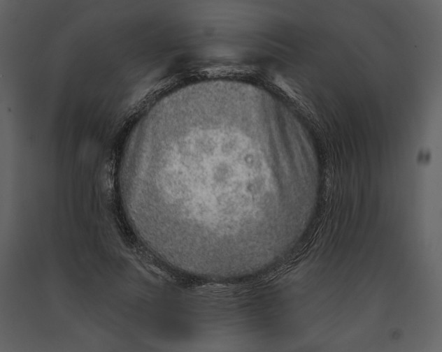 X0000090950691200708241129