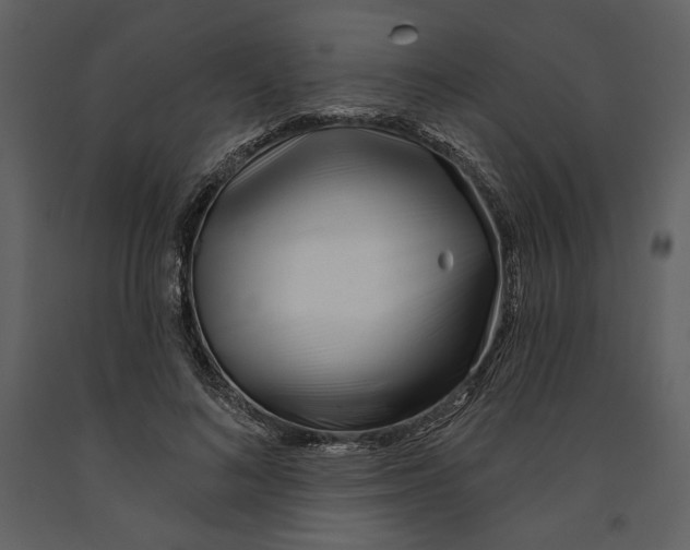 X0000090950692200708241128