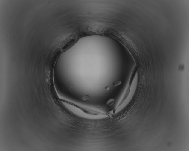 X0000090950693200708241128