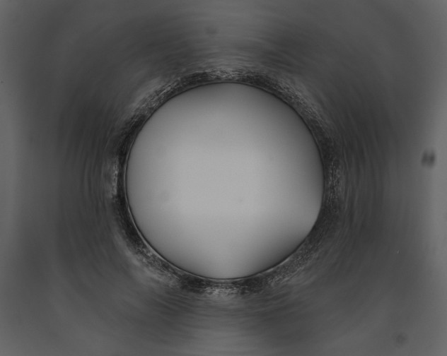 X0000090950694200708241128