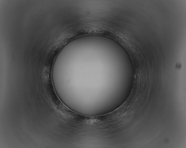 X0000090950695200708241128