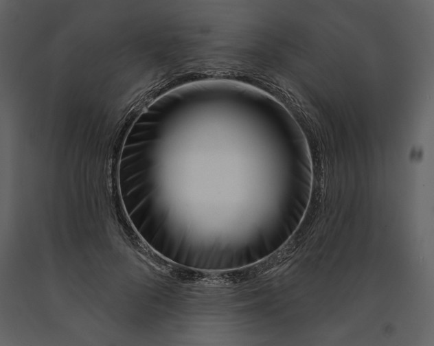 X0000090950696200708241128